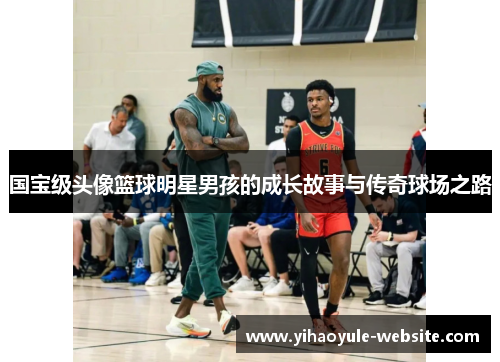 国宝级头像篮球明星男孩的成长故事与传奇球场之路
